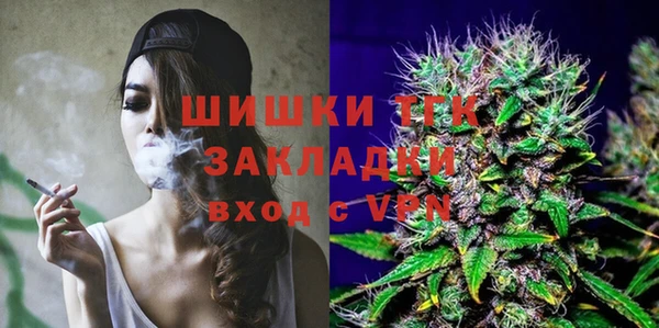 тгк Белокуриха