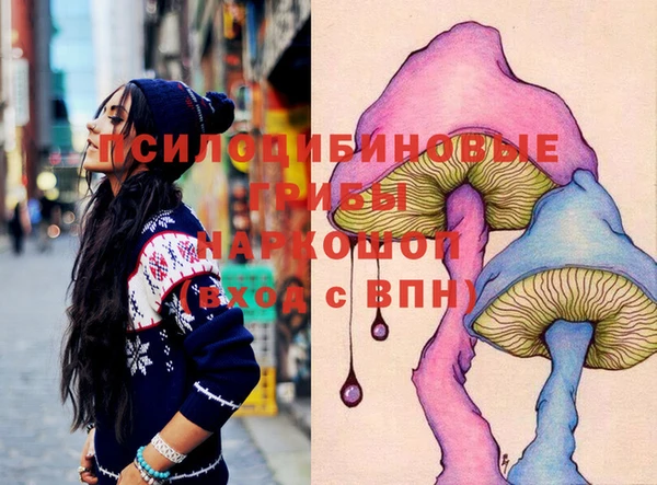 прущие грибы Белоозёрский