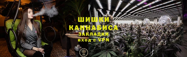 прущие грибы Белоозёрский