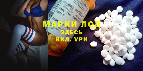 прущие грибы Белоозёрский