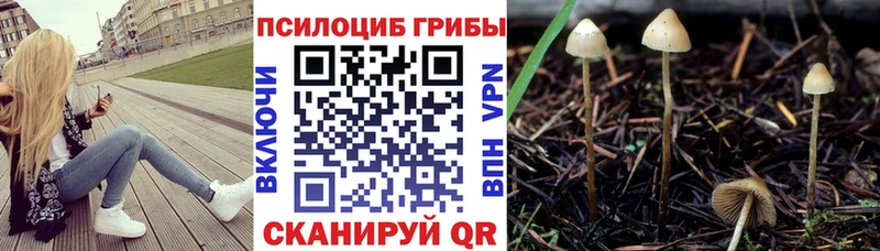 Галлюциногенные грибы мухоморы  Высоцк 
